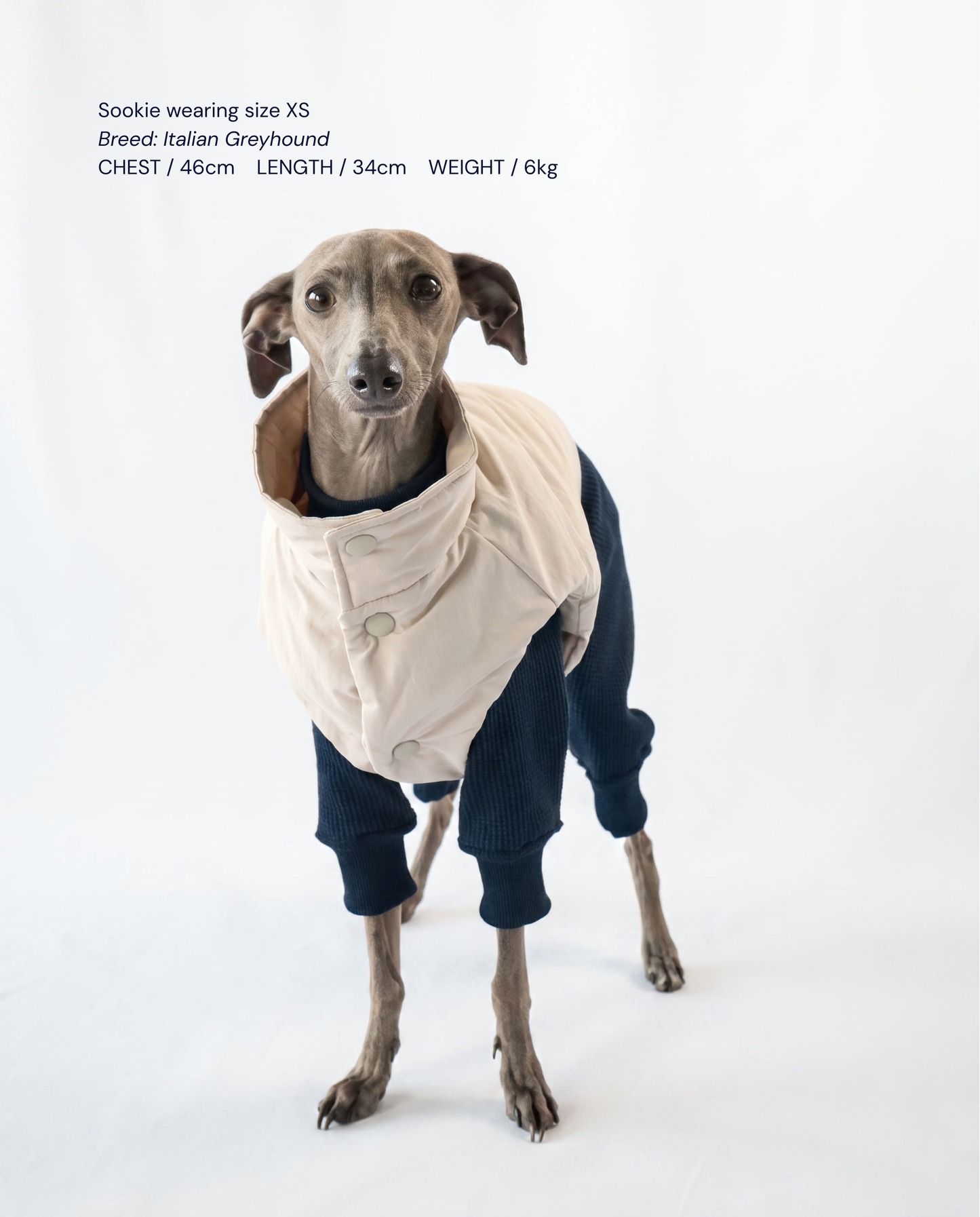 CloudLayer™ Puffer Vest