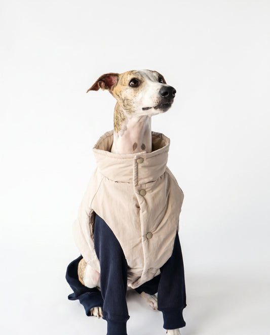 CloudLayer™ Puffer Vest
