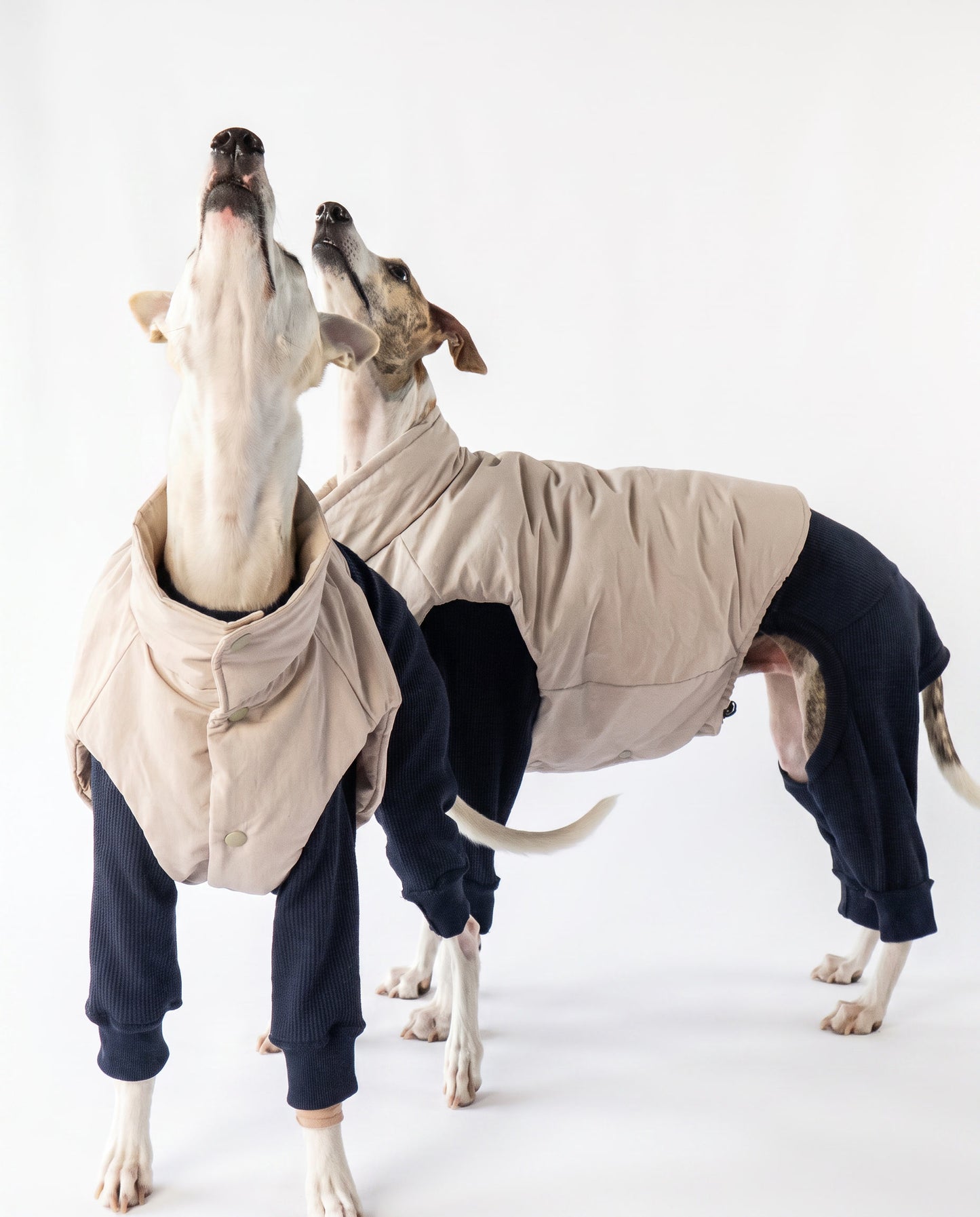 CloudLayer™ Puffer Vest