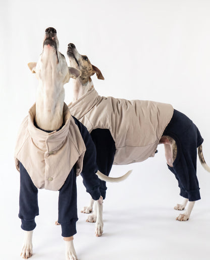 CloudLayer™ Puffer Vest