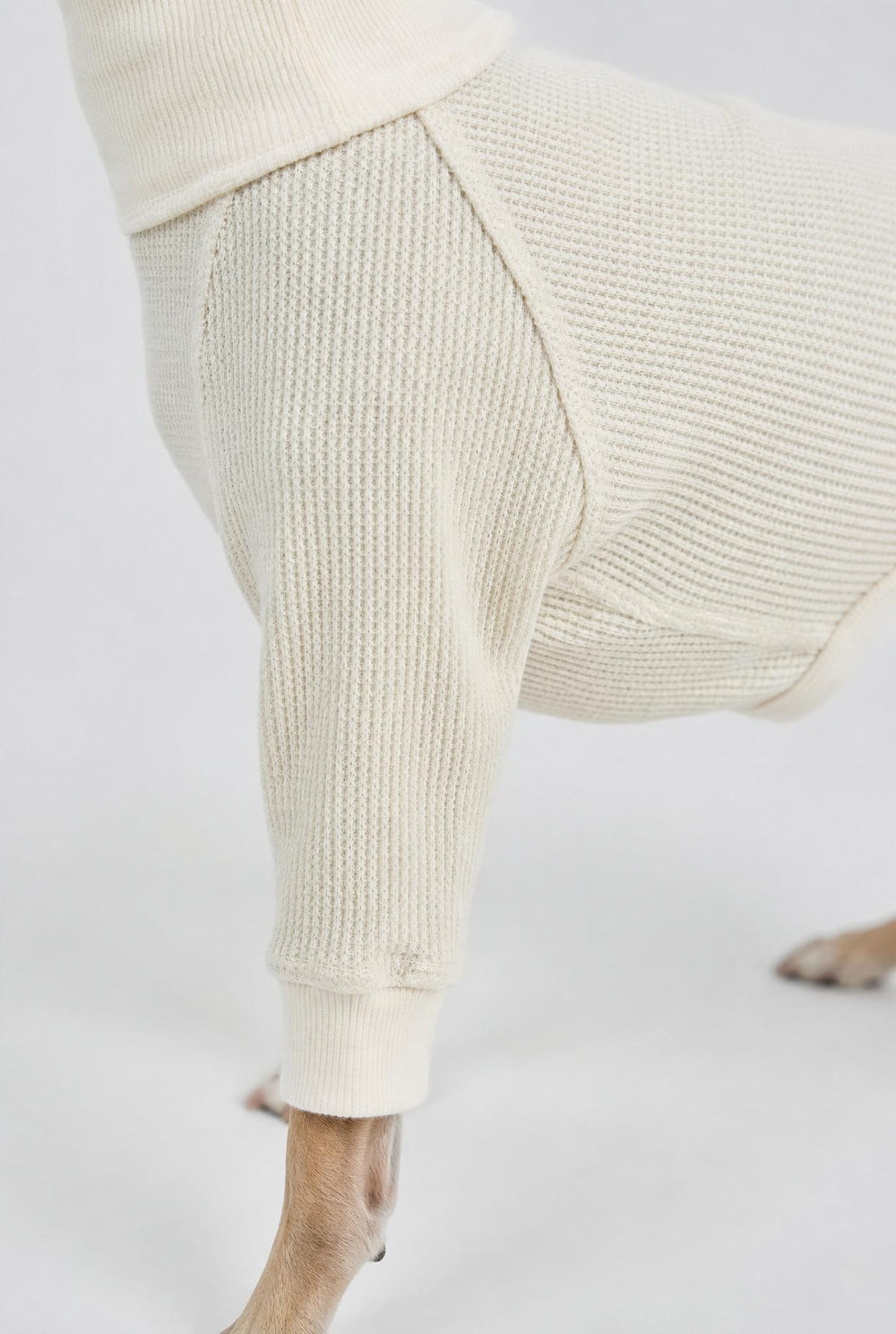 Close-up of a cream-colored ribbed knit pet sweater worn by a greyhound, showing the textured fabric and sleeve detail against a plain light background.